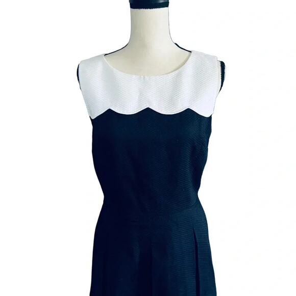 Tahari Whitney White/Navy Pique Dress Size 12 - Picture 3 of 7